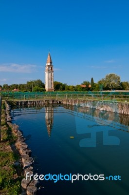 Venice Burano Mazorbo Vineyard Stock Photo