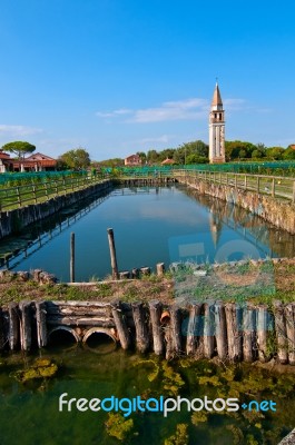 Venice Burano Mazorbo Vineyard Stock Photo