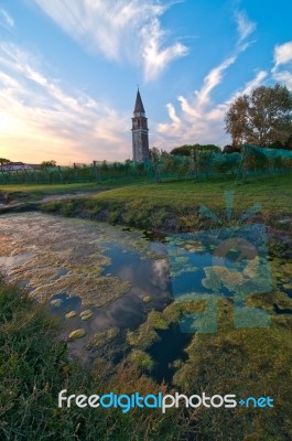 Venice Burano Mazorbo Vineyard Stock Photo