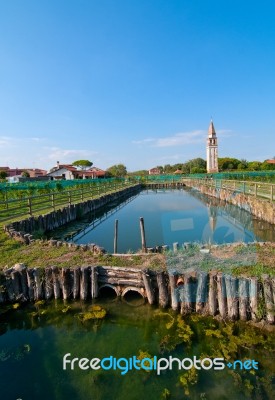 Venice Burano Mazorbo Vineyard Stock Photo