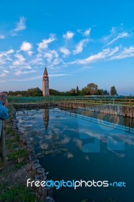 Venice Burano Mazorbo Vineyard Stock Photo