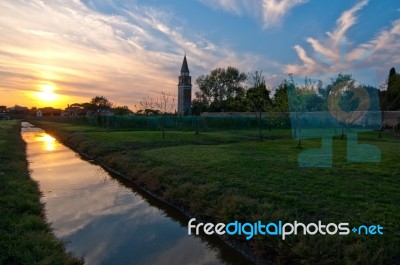 Venice Burano Mazorbo Vineyard Stock Photo