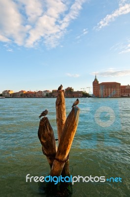 Venice Italy Lagune View With Bricole Stock Photo