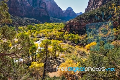 Verdant Virgin River Valley Stock Photo