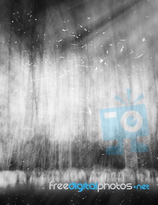 Vertical Black And White Abstract Landscape With Dust Snow Backg… Stock Photo