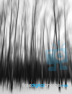 Vertical Black And White Motion Blur Trees Art Abstraction Backd… Stock Photo