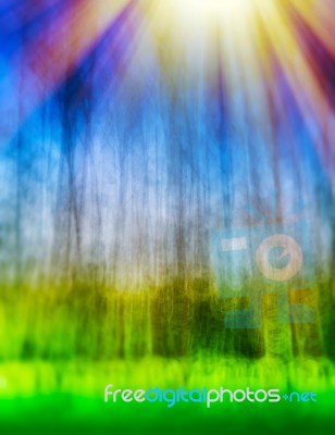 Vertical Bokeh Blurred Abstract Landscape With Light Leak Backgr… Stock Photo