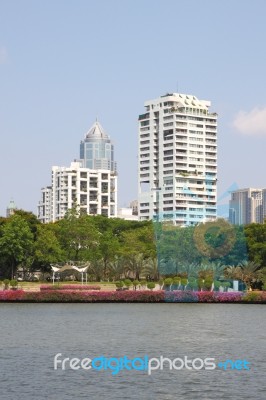 Vertical Building Group Waterfront Stock Photo