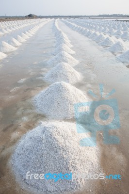 Vertical Form Of Heap Of Sea Salt In Original Salt Produce Farm Stock Photo