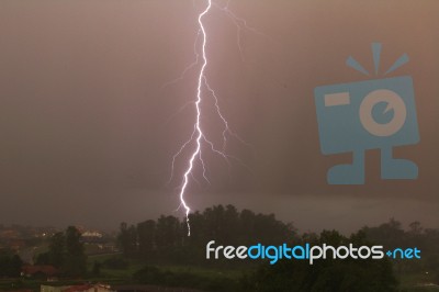 Vertical Lightning At Trees Stock Photo