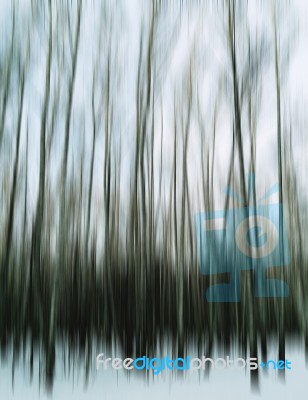 Vertical Motion Blur Trees Art Abstraction Backdrop Stock Photo