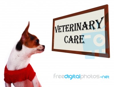 Veterinary Care Sign Stock Photo