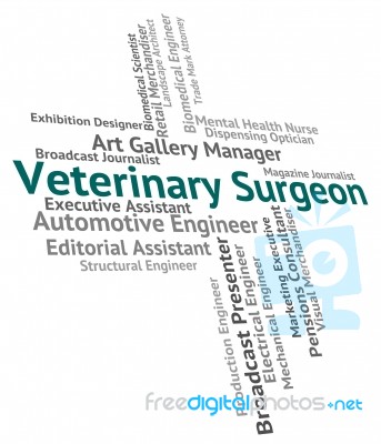 Veterinary Surgeon Meaning General Practitioner And Text Stock Image