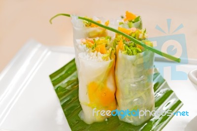 Vietnamese Style Summer Rolls Stock Photo