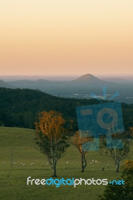 View From Dahmongah Lookout In Mount Mee Stock Photo