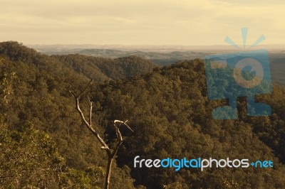 View From Mount Glorious Near Brisbane, Queensland Stock Photo