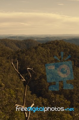 View From Mount Glorious Near Brisbane, Queensland Stock Photo