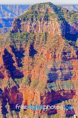 View From The North Rim Of The Grand Canyon Stock Photo