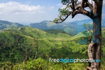 View From The Top Of Mountain Stock Photo