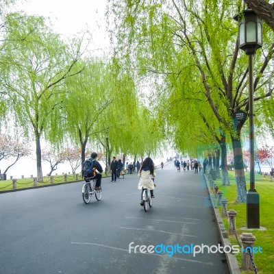 View In The Mist Of Xihu Stock Photo