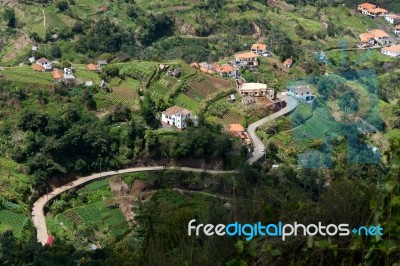 View Of A Winding Road Through The Madeira Landscape Stock Photo