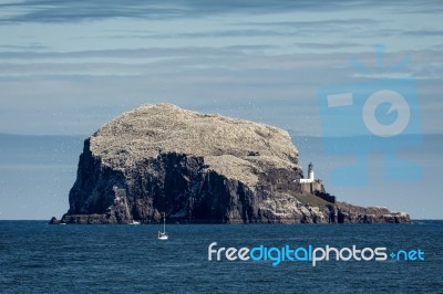 View Of Bass Rock Stock Photo