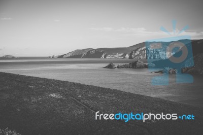 View Of Bruny Island Beach During The Day Stock Photo