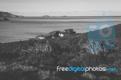 View Of Bruny Island Beach During The Day Stock Photo