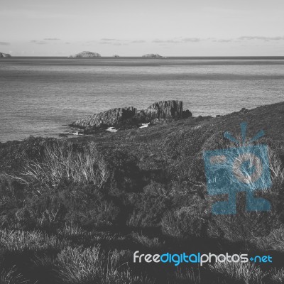 View Of Bruny Island Beach During The Day Stock Photo