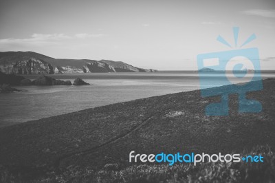 View Of Bruny Island Beach During The Day Stock Photo