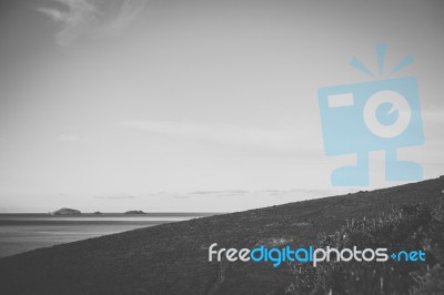 View Of Bruny Island Beach During The Day Stock Photo