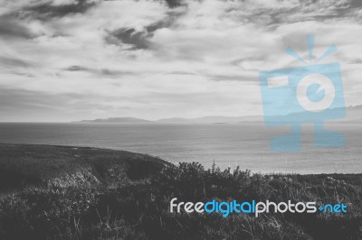 View Of Bruny Island Beach During The Day Stock Photo