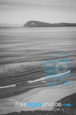 View Of Bruny Island Beach During The Day Stock Photo