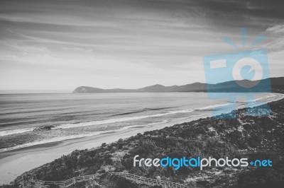 View Of Bruny Island Beach During The Day Stock Photo