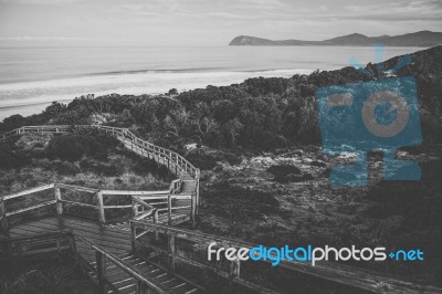 View Of Bruny Island Beach During The Day Stock Photo