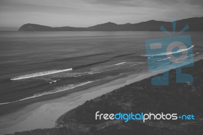 View Of Bruny Island Beach During The Day Stock Photo