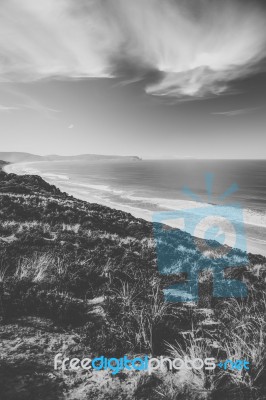 View Of Bruny Island Beach During The Day Stock Photo