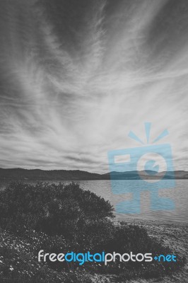 View Of Bruny Island Beach During The Day Stock Photo