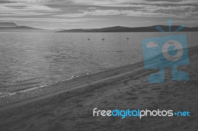 View Of Bruny Island Beach During The Day Stock Photo