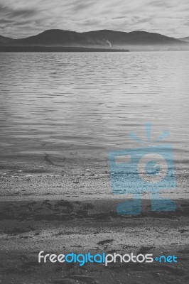 View Of Bruny Island Beach During The Day Stock Photo