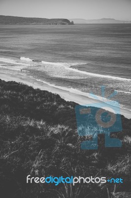 View Of Bruny Island Beach During The Day Stock Photo