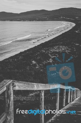 View Of Bruny Island Beach During The Day Stock Photo