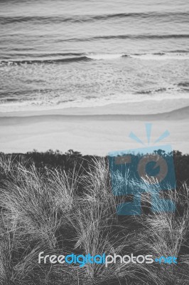 View Of Bruny Island Beach During The Day Stock Photo