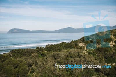 View Of Bruny Island Beach In The Afternoon Stock Photo