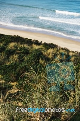 View Of Bruny Island Beach In The Afternoon Stock Photo