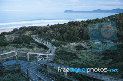 View Of Bruny Island Beach In The Afternoon Stock Photo