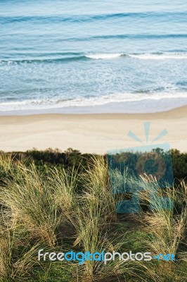 View Of Bruny Island Beach In The Afternoon Stock Photo