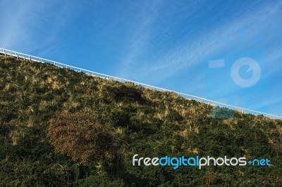 View Of Bruny Island Beach In The Afternoon Stock Photo