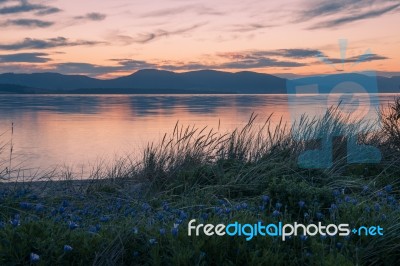 View Of Bruny Island Beach In The Late Afternoon Stock Photo