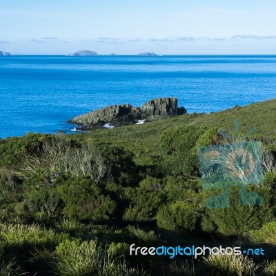 View Of Bruny Island Beach In The Late Afternoon Stock Photo